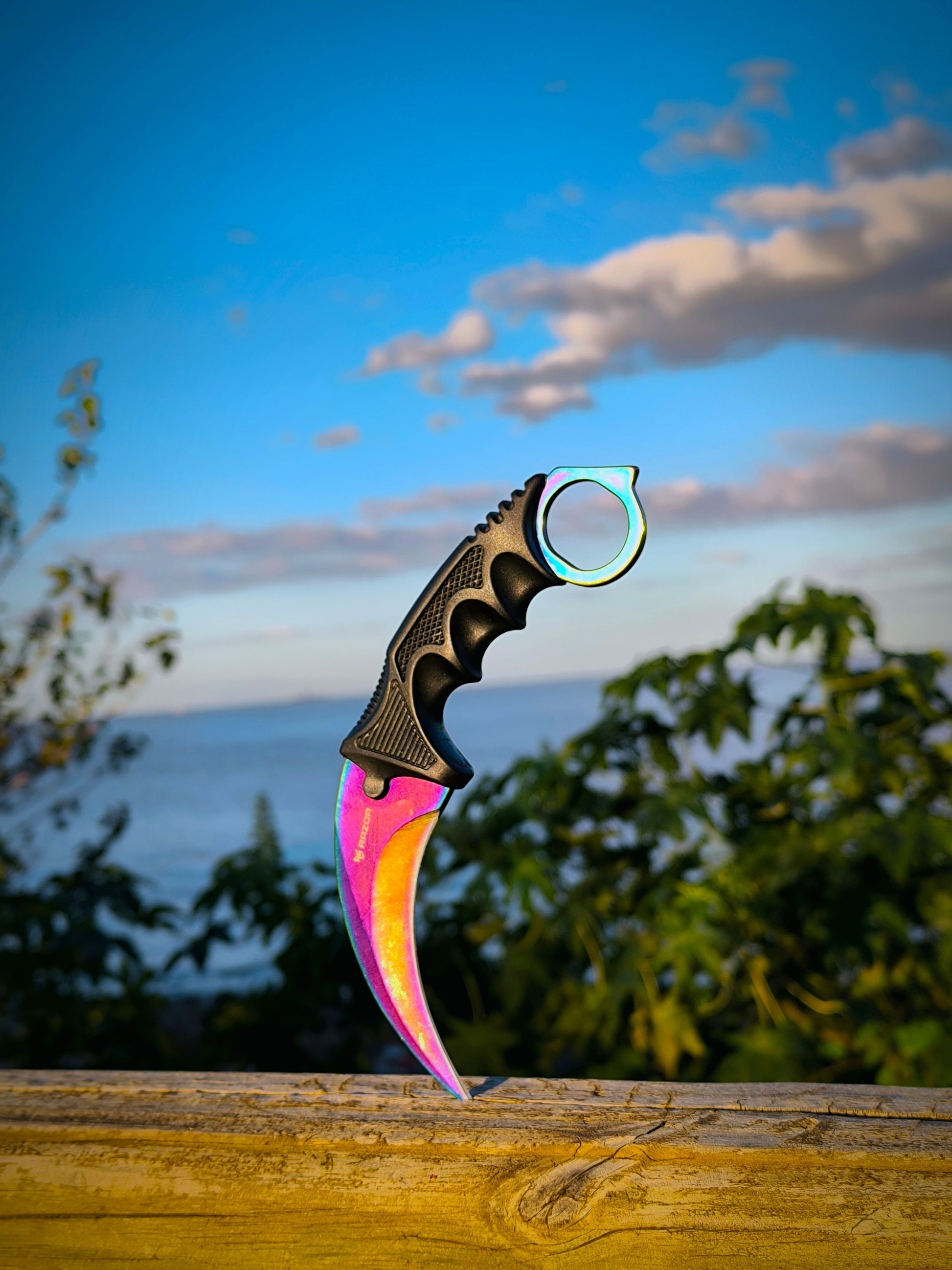Karambit Parado Detalle del Color en Naturaleza Calidad Premium de Colección