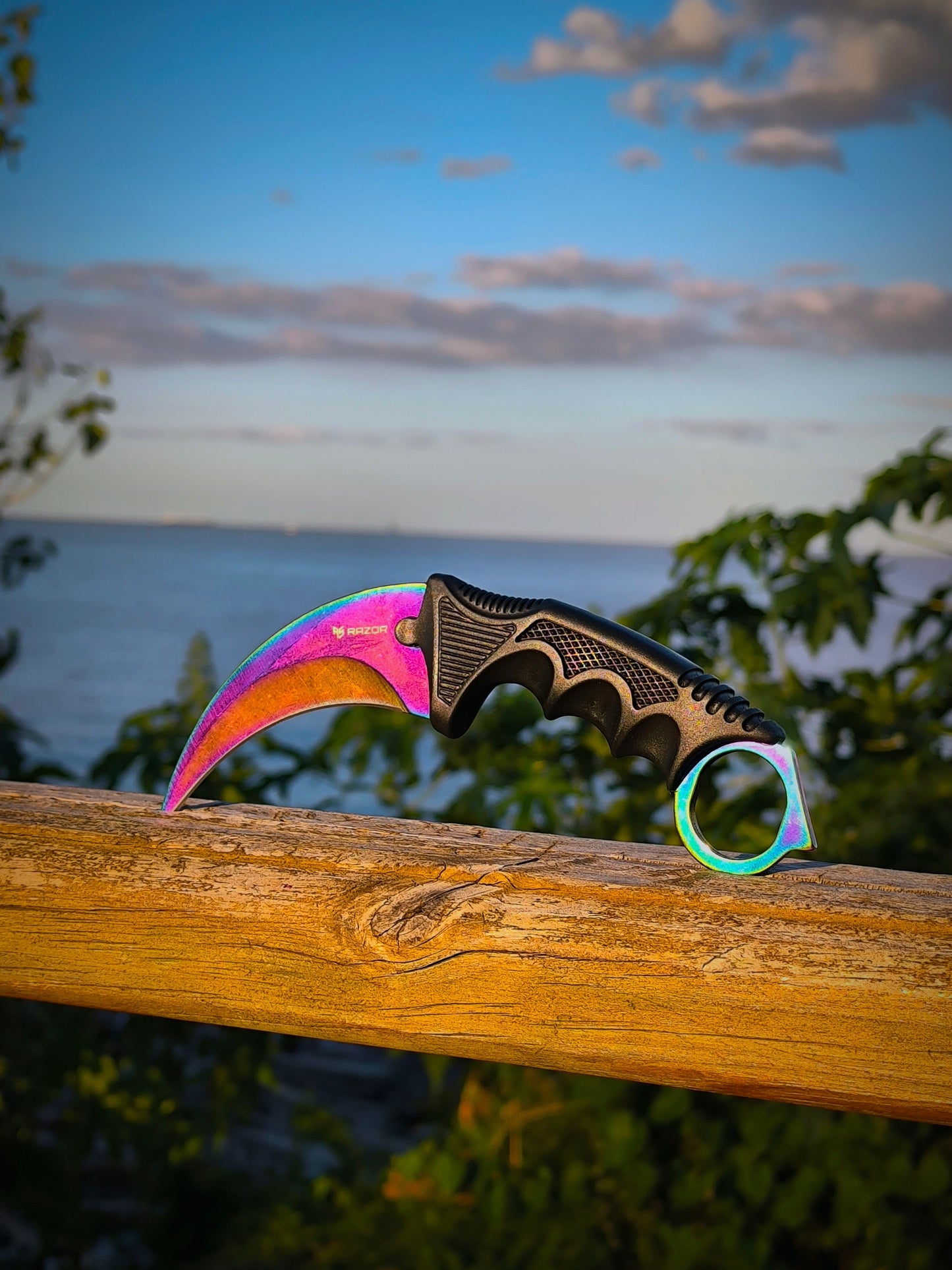 Cuchillo Karambit Tornasol Táctico Estilo CS:GO de Cerca Detalle color al aire libre